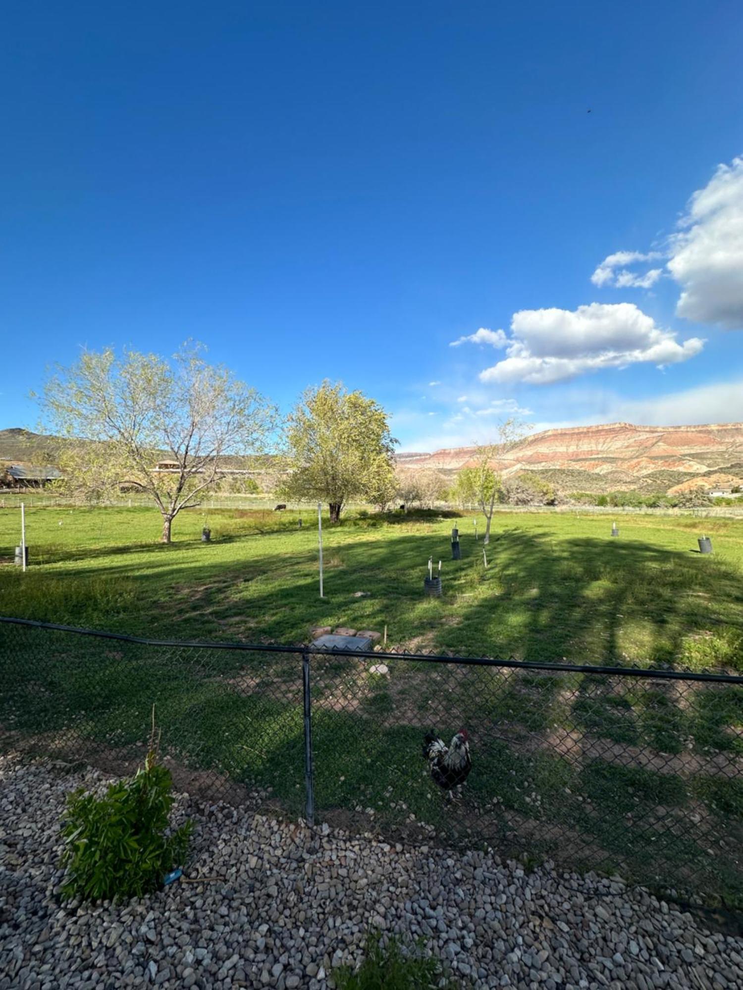 Copper Creek Farm Villa Toquerville Bagian luar foto